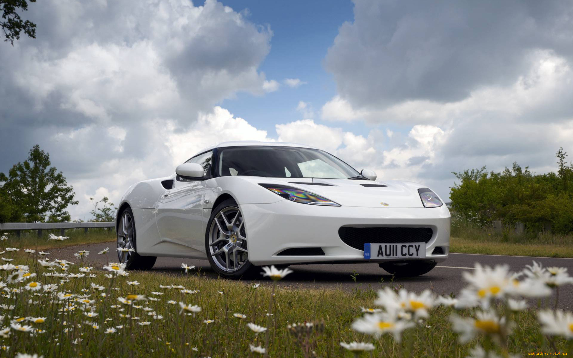 , lotus